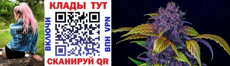 Цена Терек COCAIN A PVP Конопля МЕФ