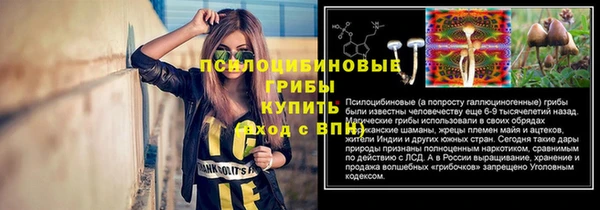 каннабис Арсеньев