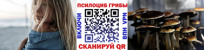 ссылка на мегу вход  Терек  Галлюциногенные грибы MAGIC MUSHROOMS 